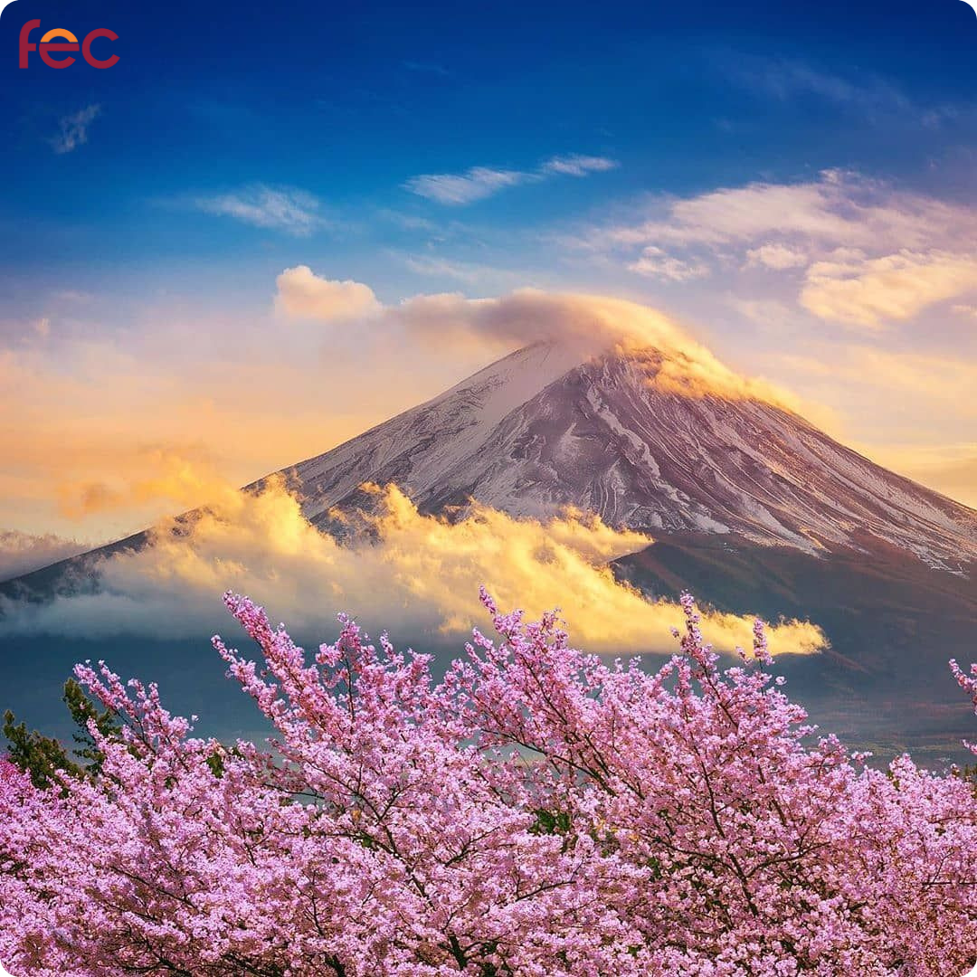 Chương trình du học hè Nhật Bản