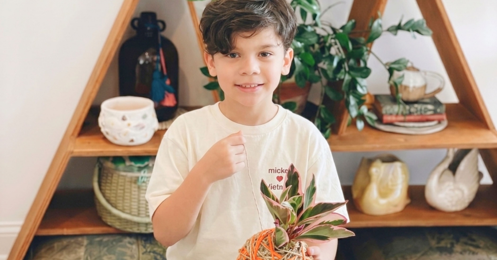 Hoạt động iHEAL