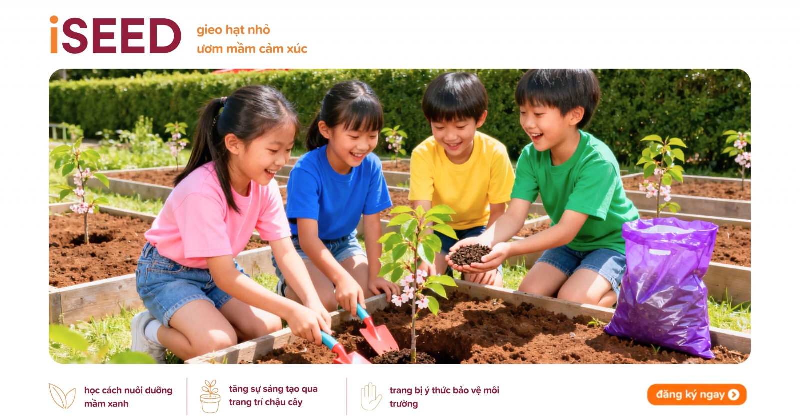 Hoạt động iSEED